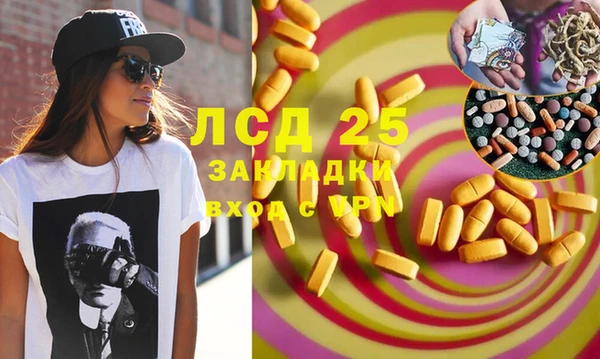 ГАЛЛЮЦИНОГЕННЫЕ ГРИБЫ Балахна
