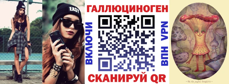 Галлюциногенные грибы Psilocybe Николаевск