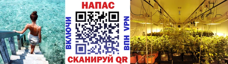 Каннабис марихуана  блэк спрут   Николаевск 